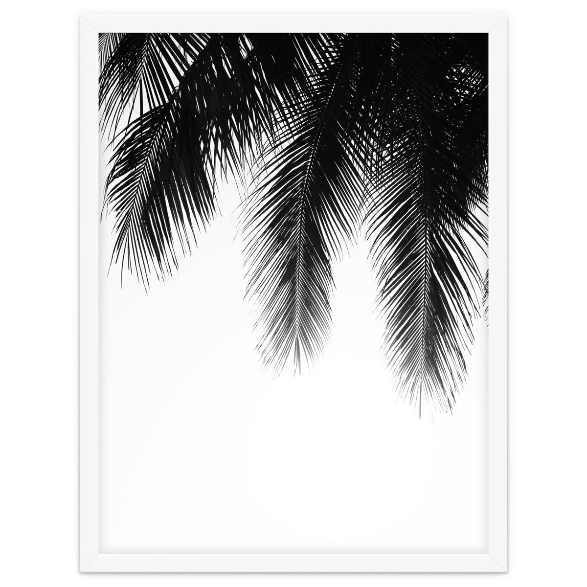 Palm leaves
