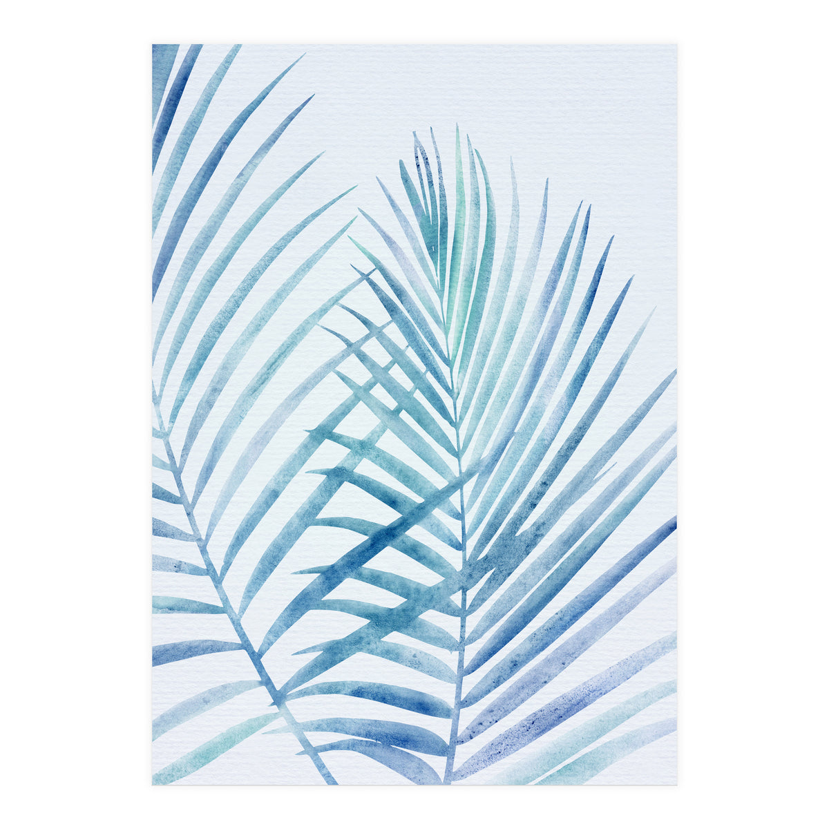 Coastal Palm Fronds (Print Only)