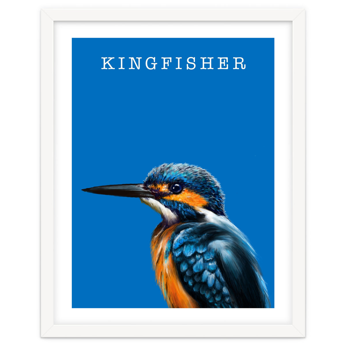 Kingfisher