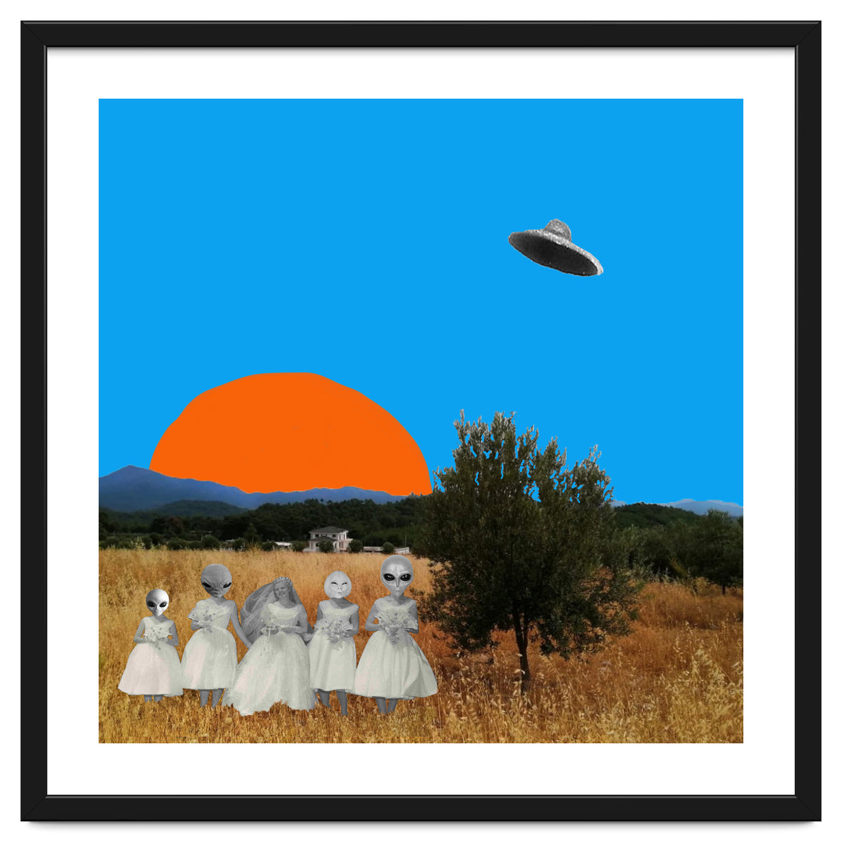 The Wedding Day - Collage