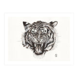 Tiger (Print Only) thumbnail