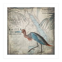 Egypt Heron (Print Only)