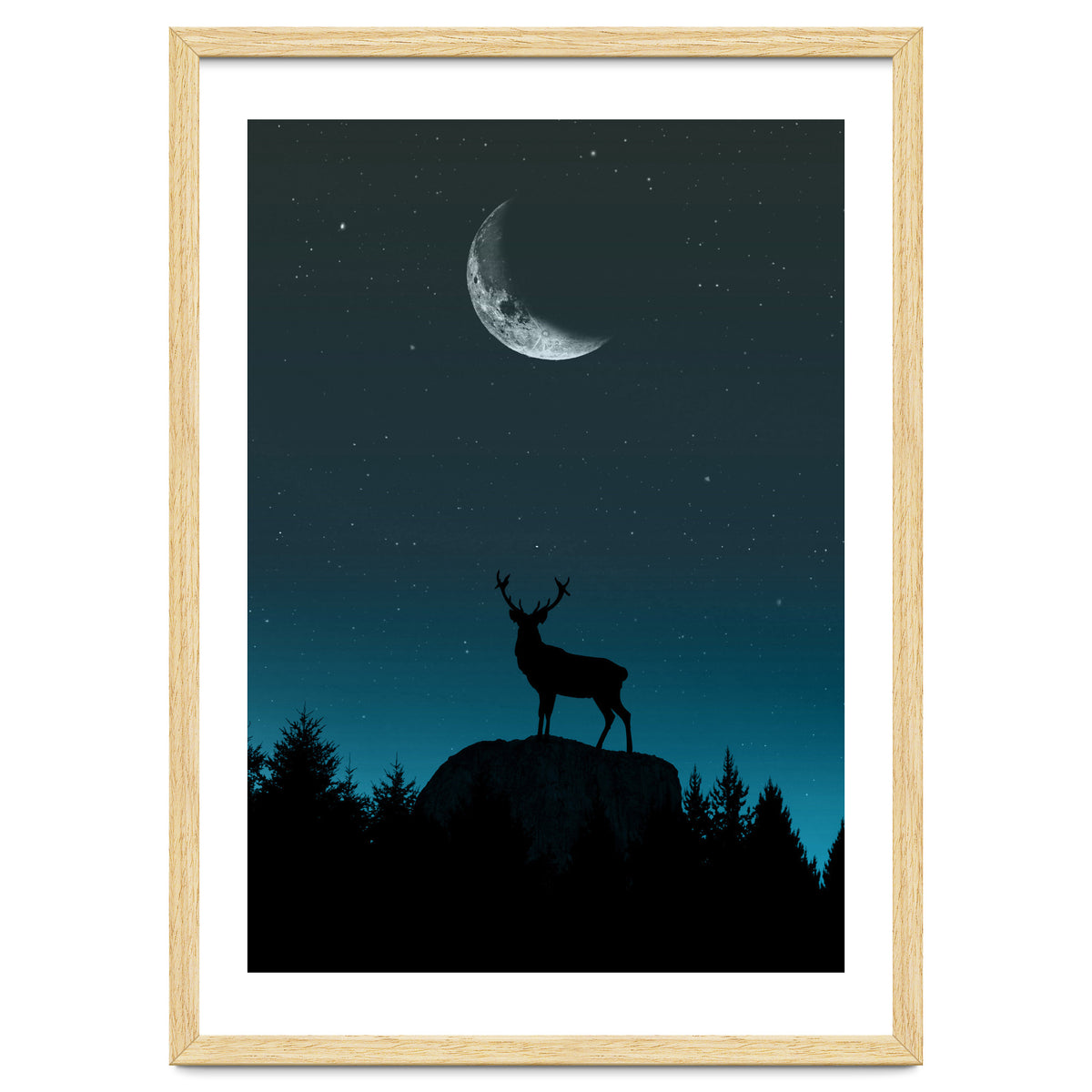 Wild Nature - Nocturne