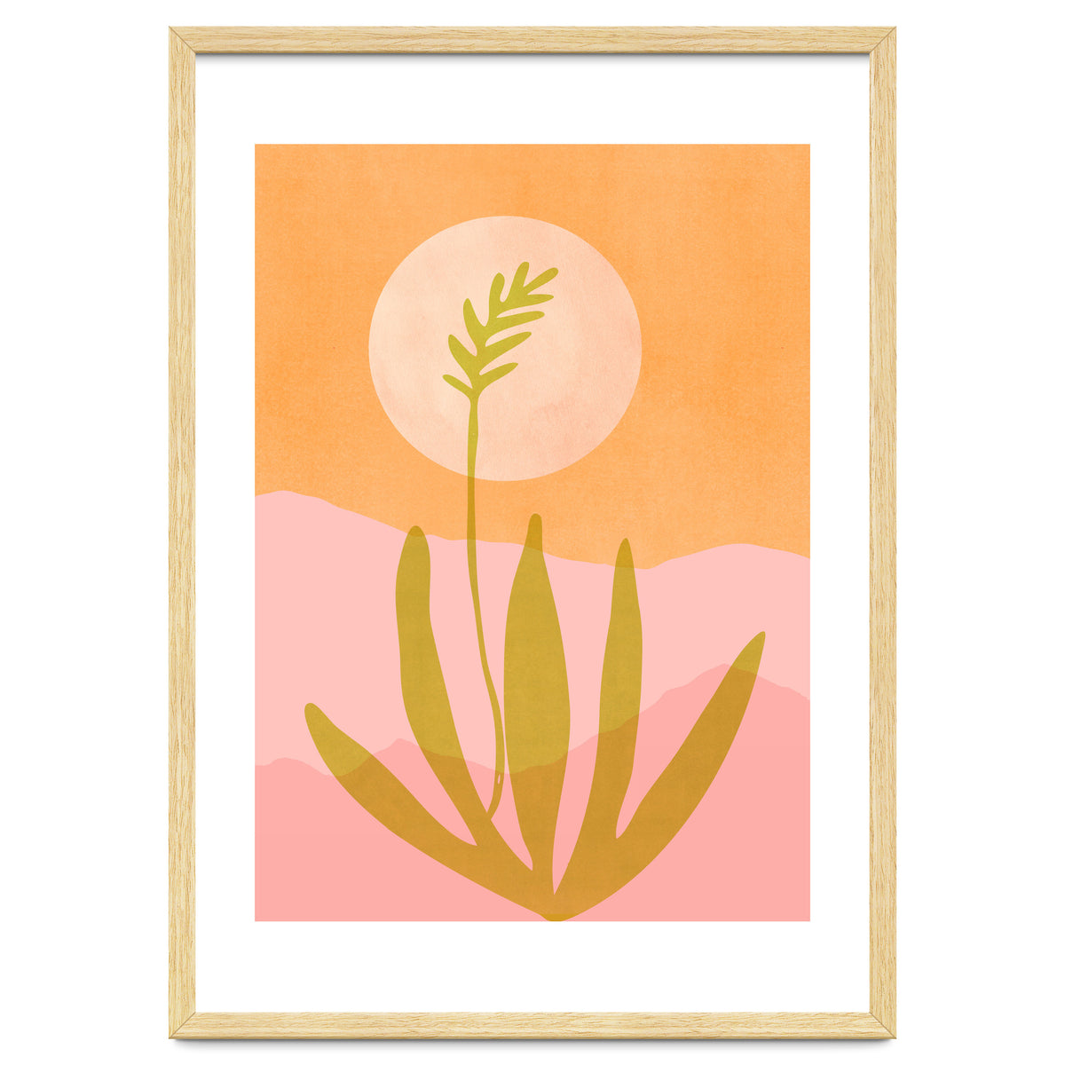 Desert Moon With Agave