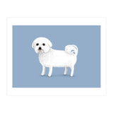Bichon Frise (Print Only) thumbnail