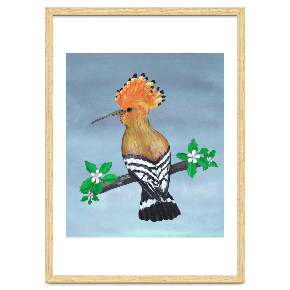 Hoopoe bird