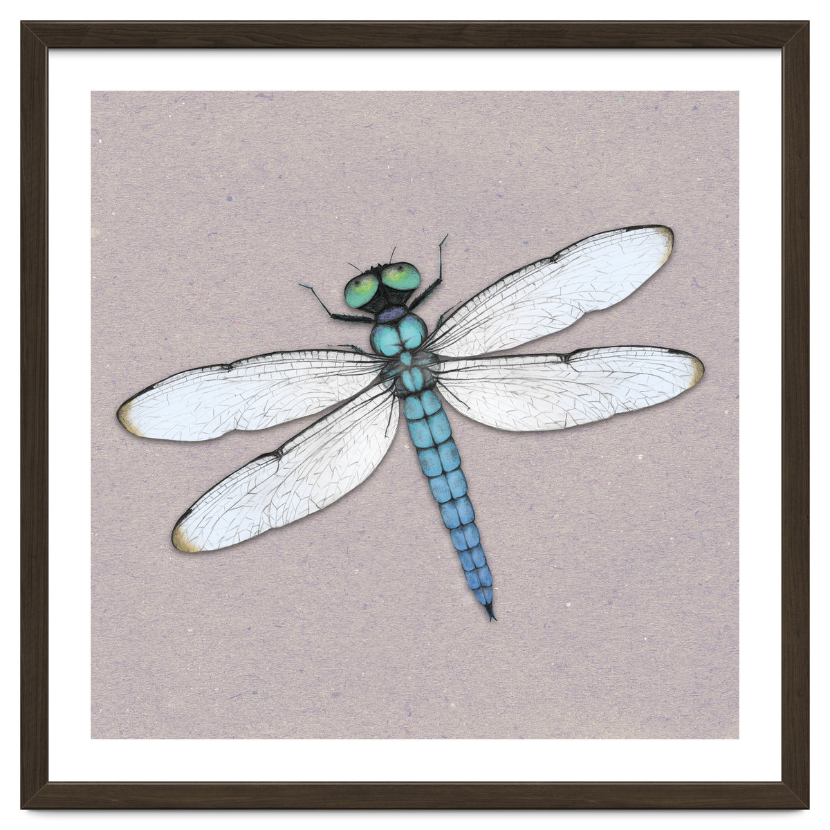 Blue dragonfly