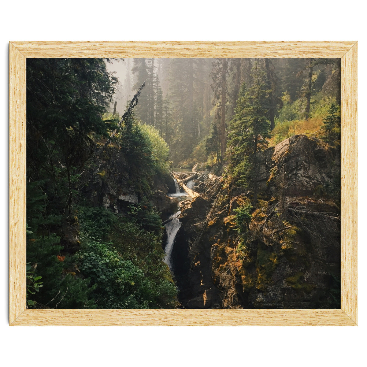 Glacier National Park I