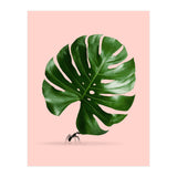 Monstera Ant (Print Only) thumbnail