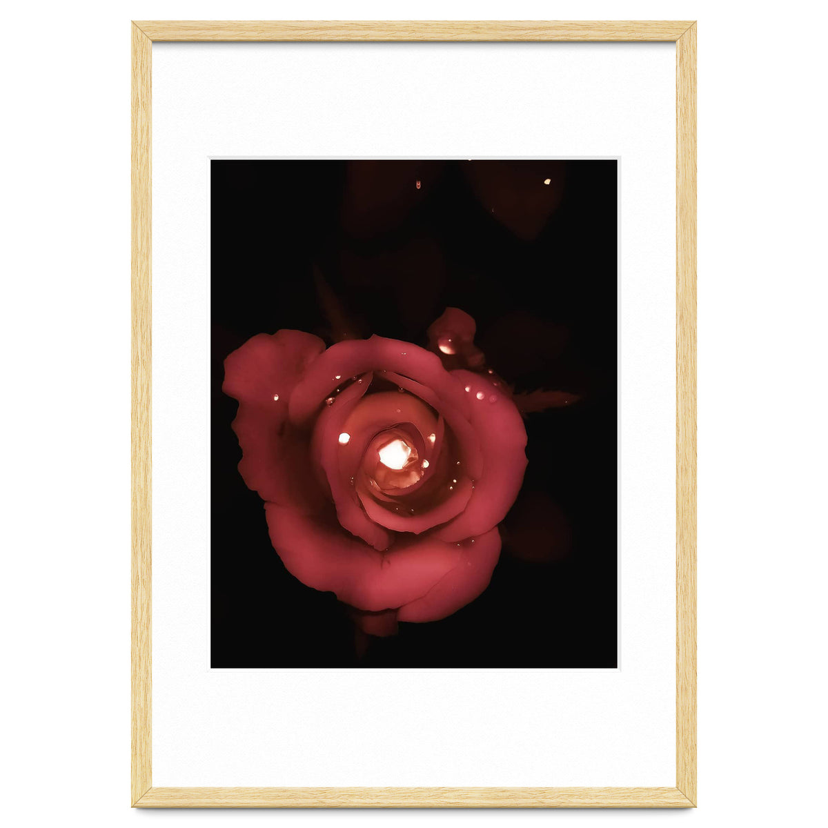 Lighting Rose