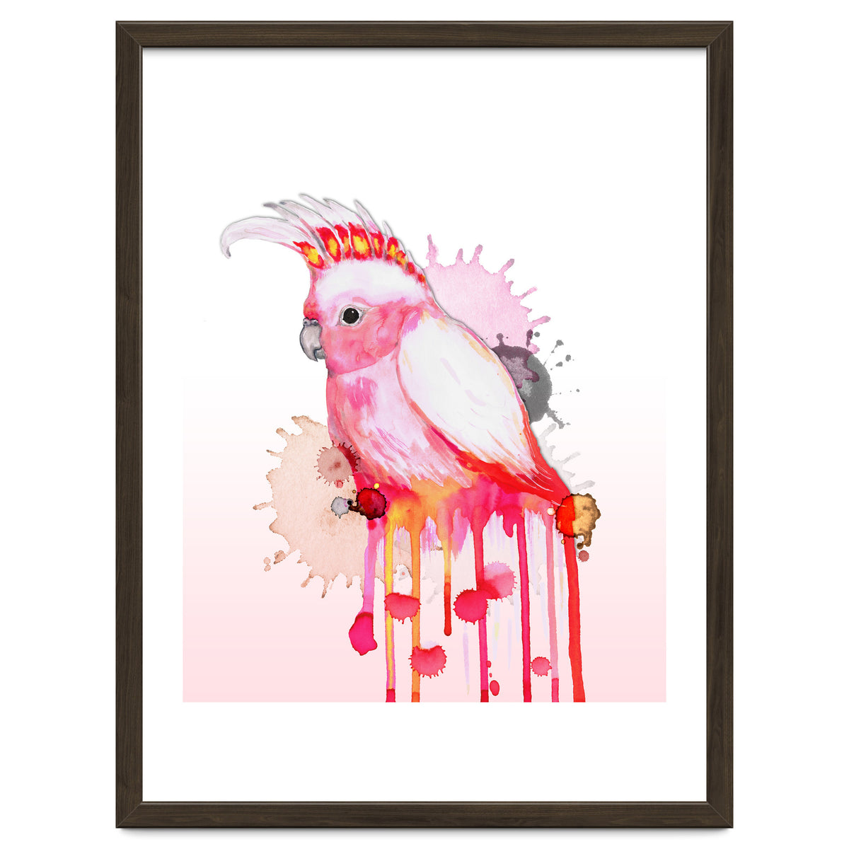 Major Mitchell's cockatoo