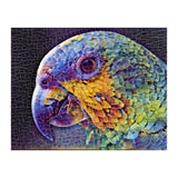 Parrot (Print Only) thumbnail