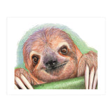 Smiling Sloth (Print Only) thumbnail