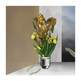 Das Licht Der Pflanze (Print Only) thumbnail