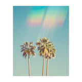Groovy California Palm Trees (Print Only) thumbnail