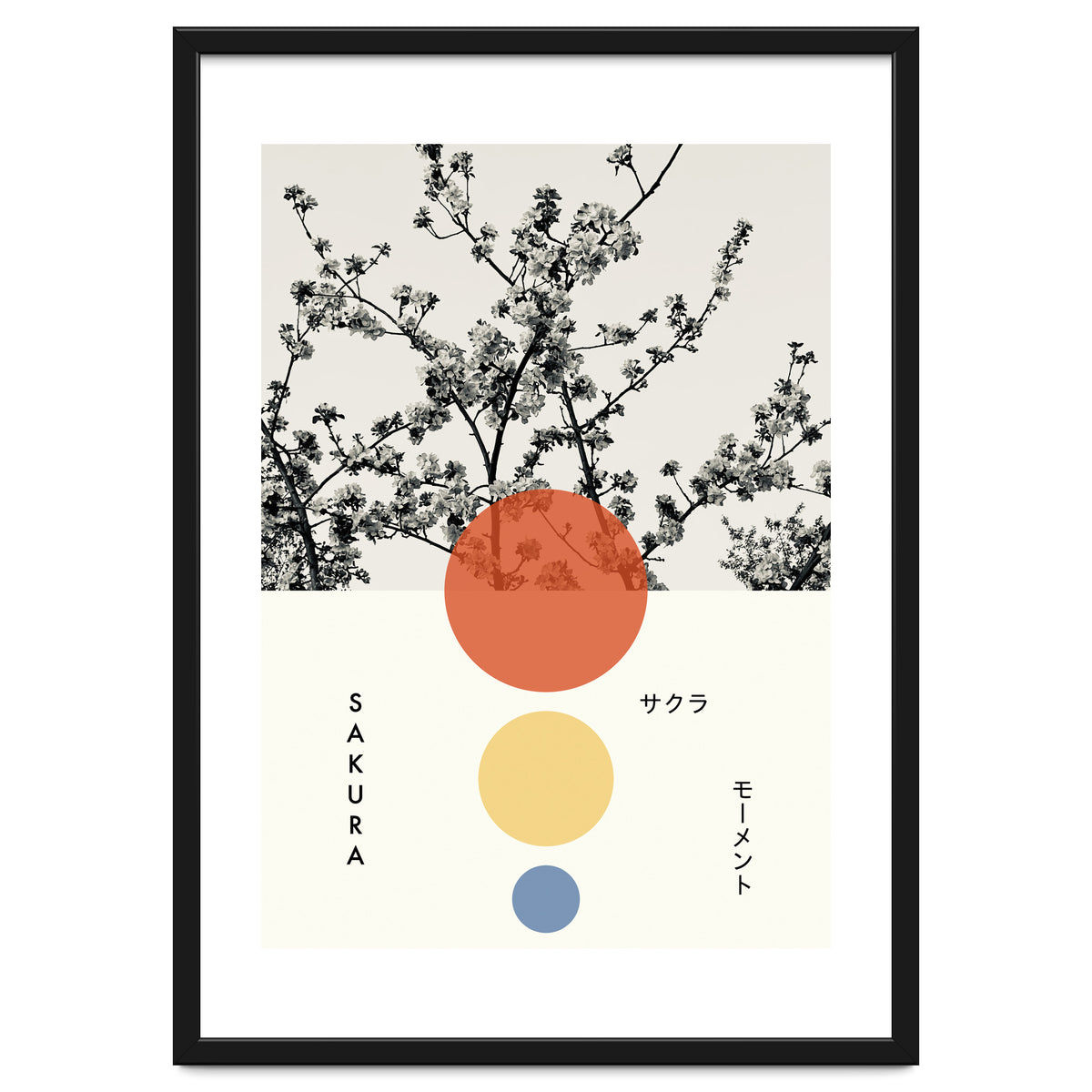 Sakura - Cherry blossom - Japanese - Photography