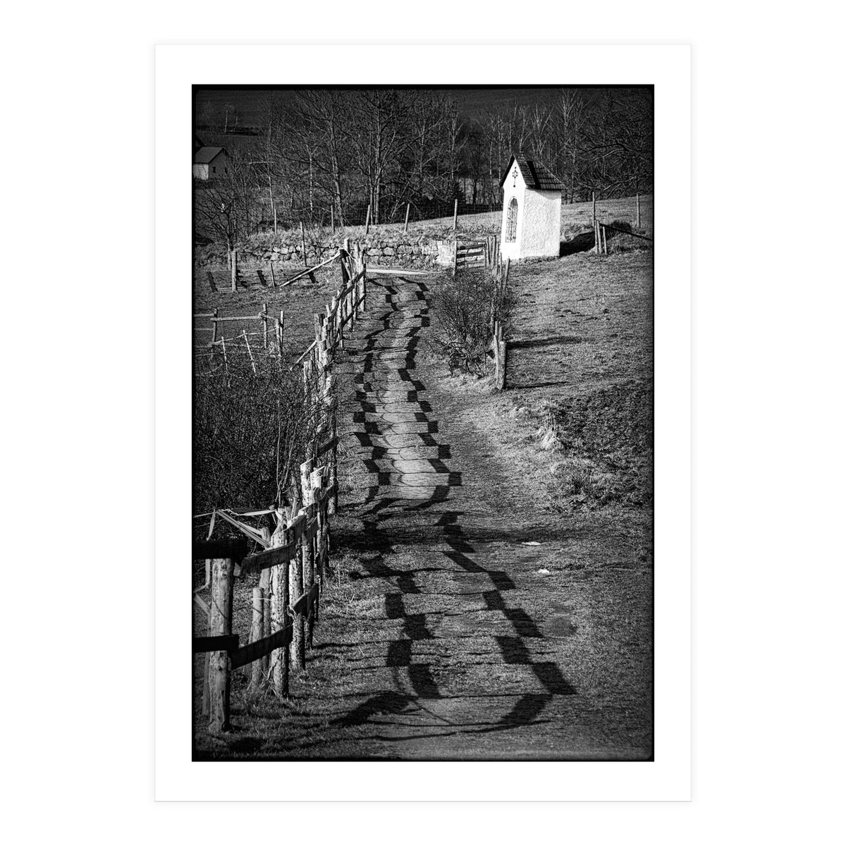 Forestry path (Print Only)