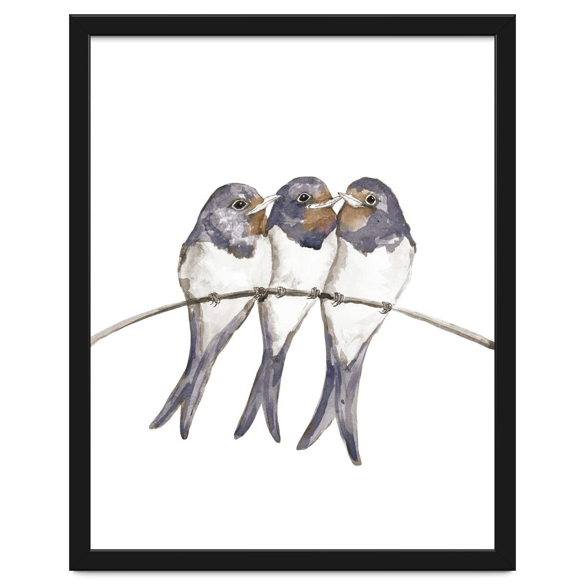 Three young swallows