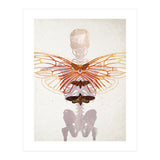 Ikarus - Like a Moth to the Flame (Print Only) thumbnail