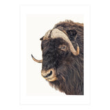 Cc Animal 02 (Print Only) thumbnail
