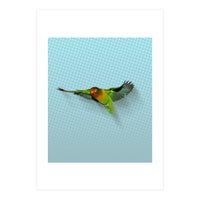 Flying lovebird (Print Only)