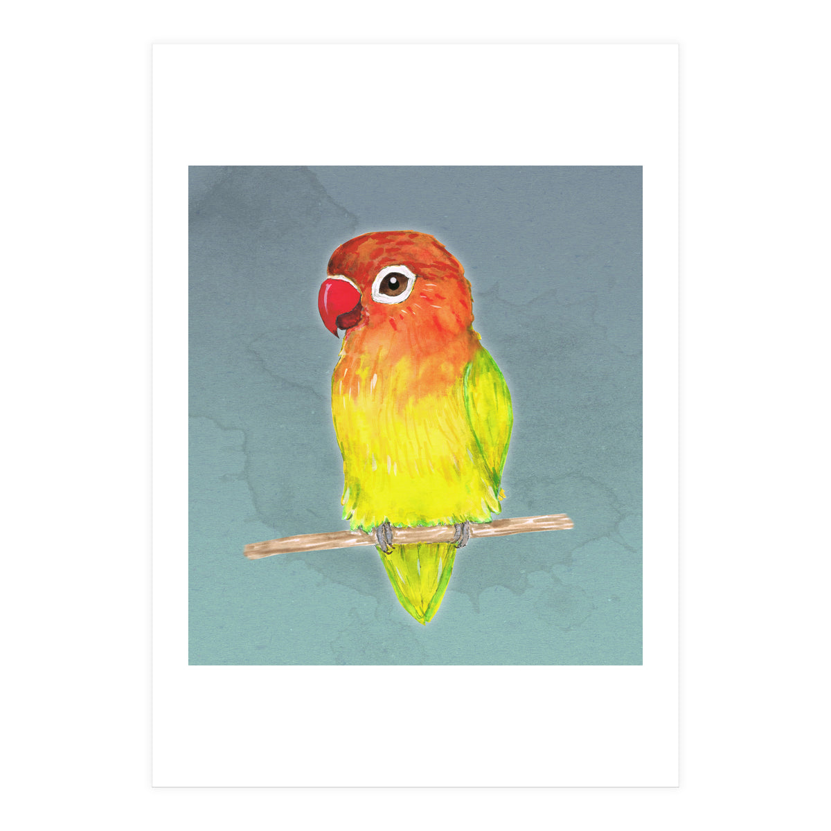 Cute yellow Fischer's lovebird (Print Only)