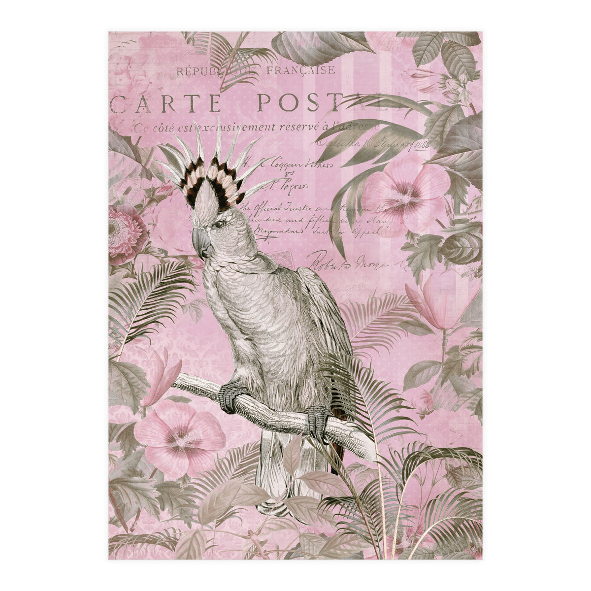 Jungle Cockatoo Pink (Print Only)