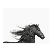 Dark Horse (Print Only)