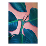Ficus Elastica (Print Only) thumbnail