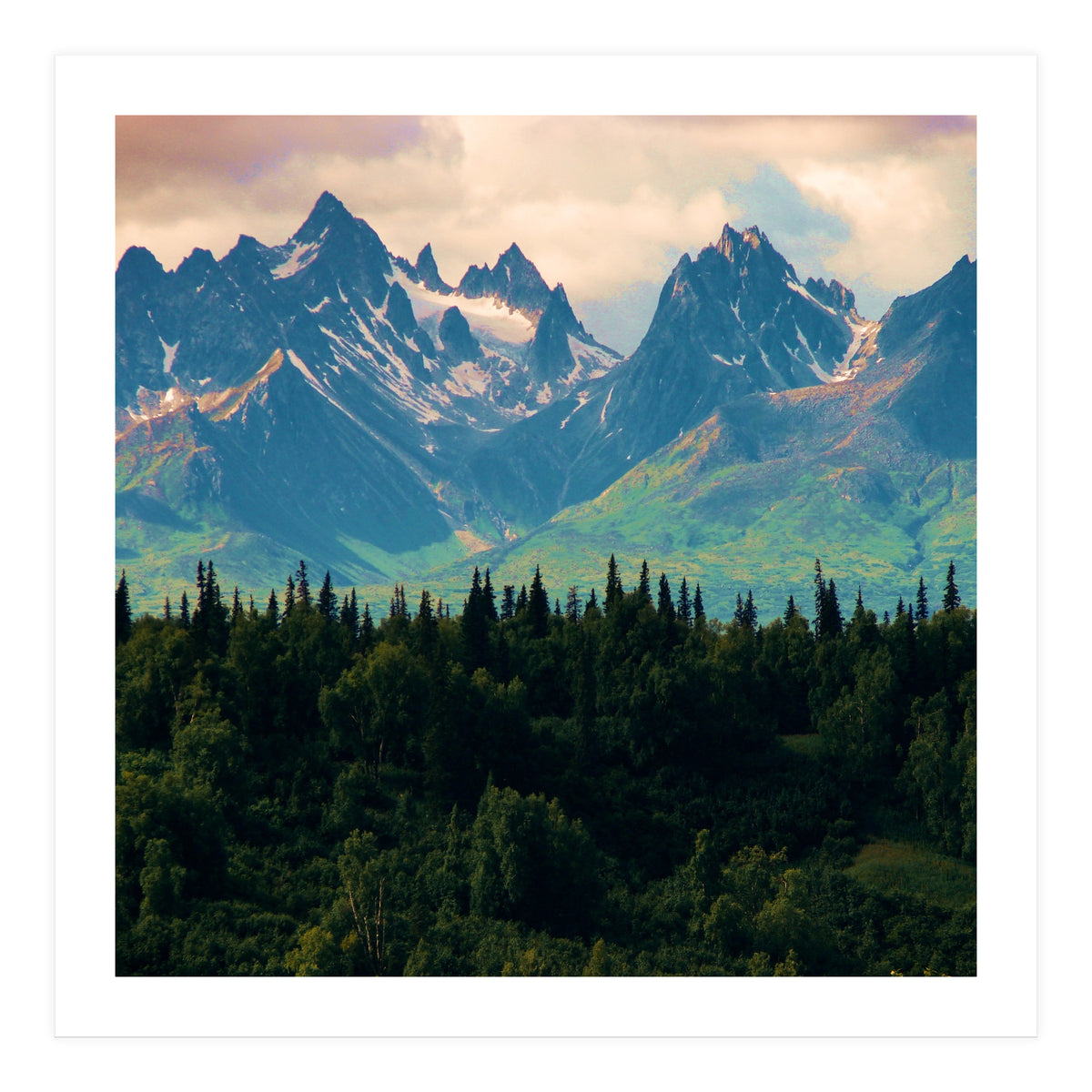 Escaping from woodland heights II (Print Only)