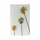 California (Print Only) thumbnail