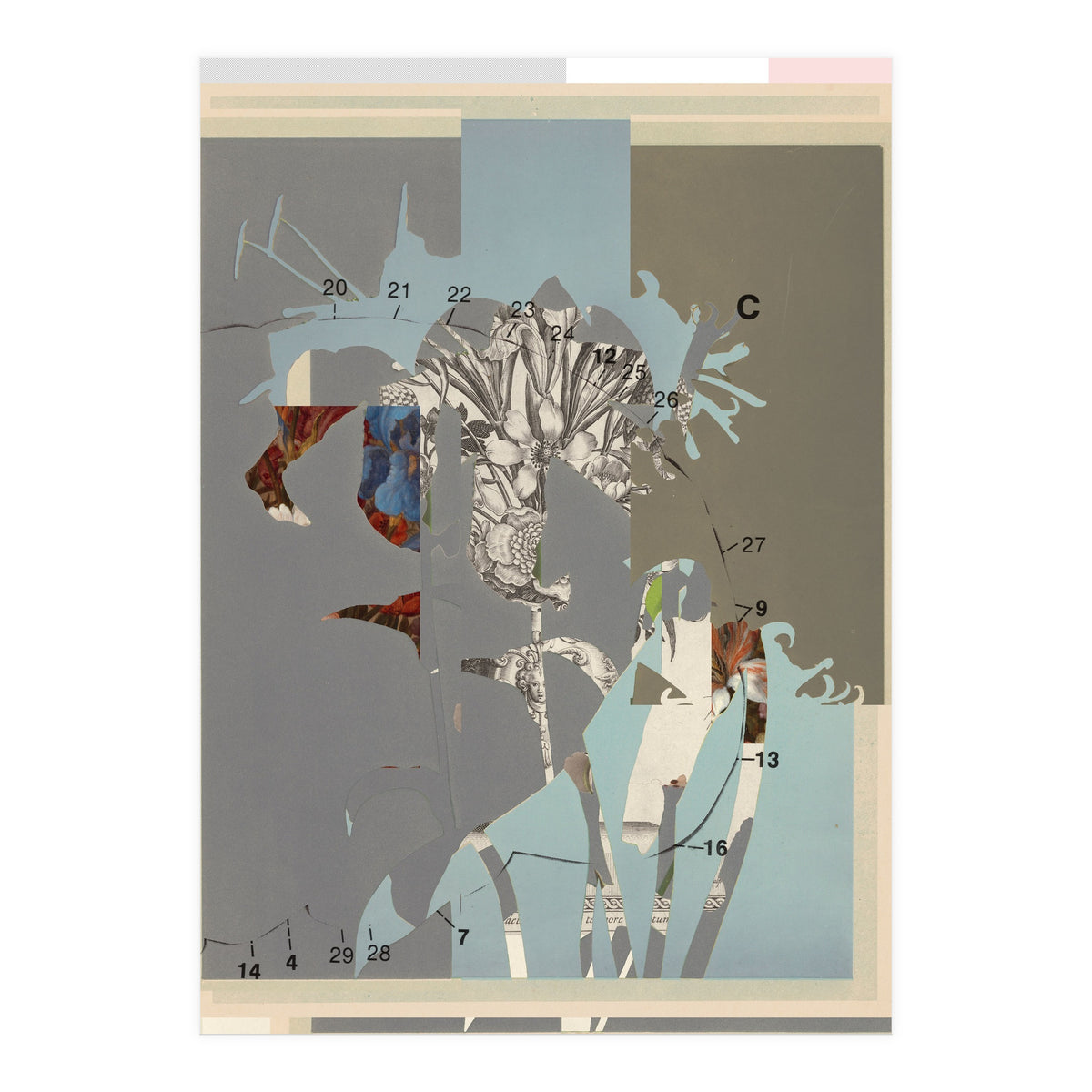 The First Plant · D (Print Only)