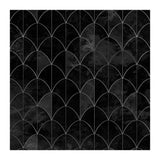Mermaid scales. Black and white (Print Only) thumbnail