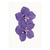 Cc Flower 06 (Print Only) thumbnail
