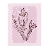 Magnolia Simple Minimal Geometric - Boho Botanical Leave (Print Only) thumbnail