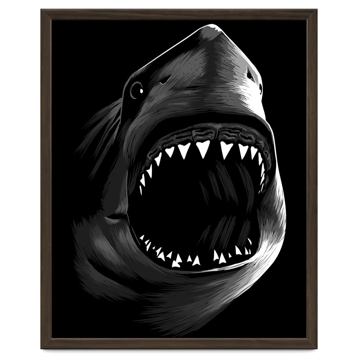 Megalodon