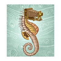 Hippocampus Camerarum (Print Only)