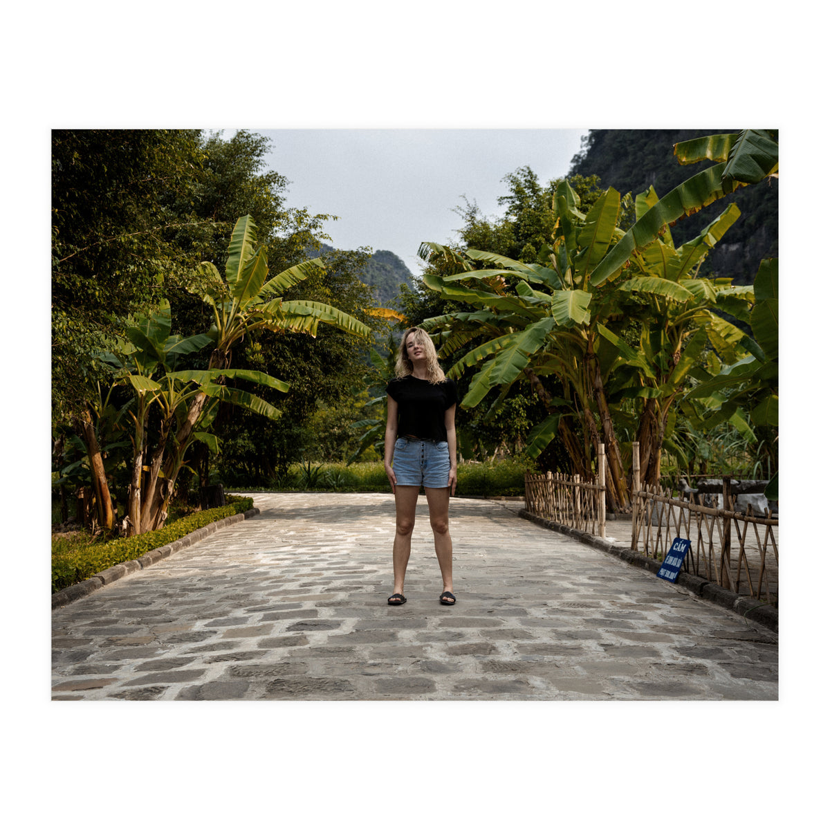 Spiritual Journey (Print Only)