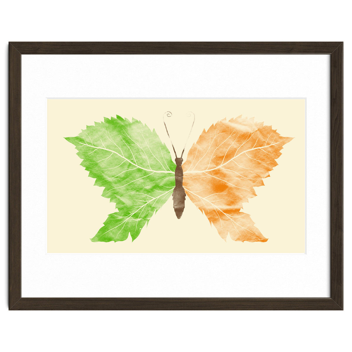 Seasons Change Time Flies