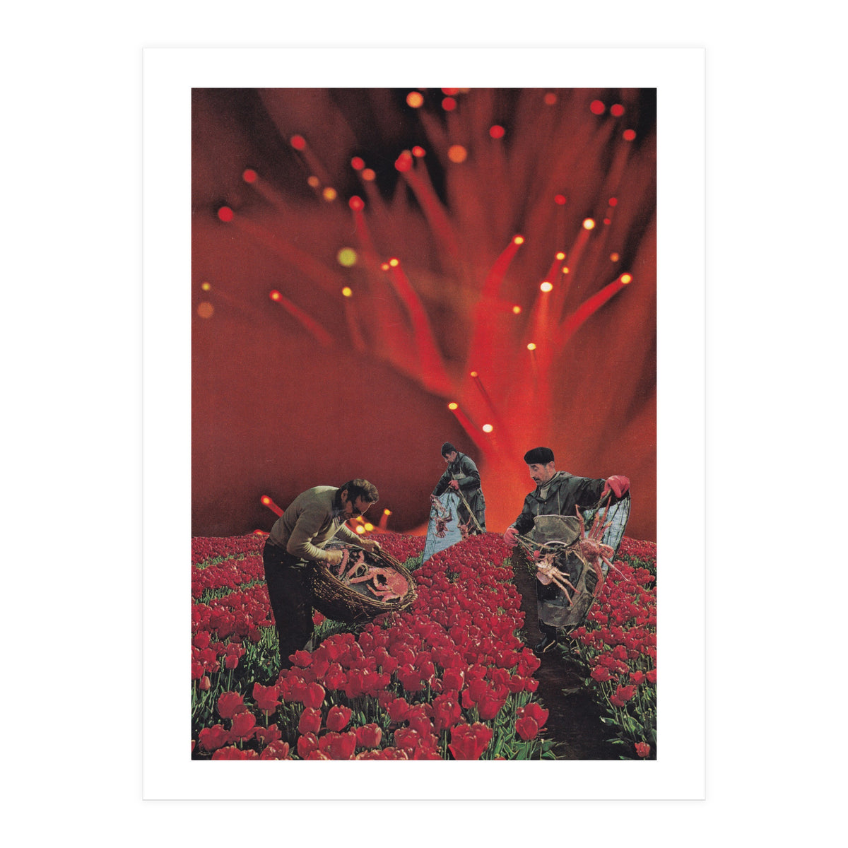 Red King Crab (Print Only)