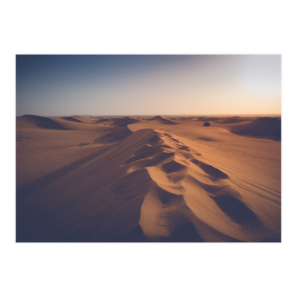 Caramel (Print Only)