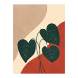 Mid century Botanical Anthurium Plant (Print Only) thumbnail