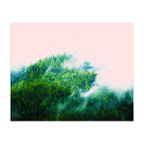 Into The Fog (Print Only) thumbnail