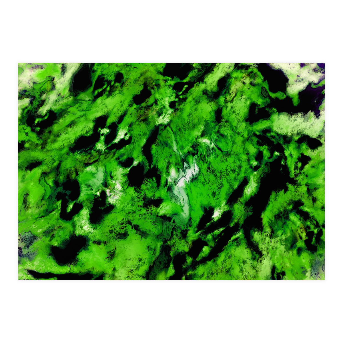 More Distinguishing Marks (Print Only)