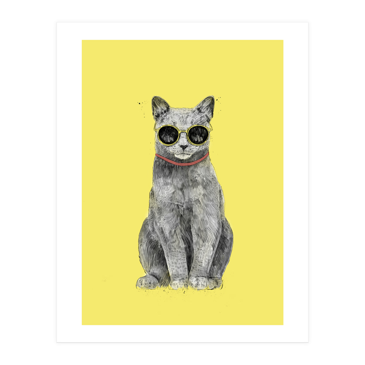 Summer Cat (Print Only)