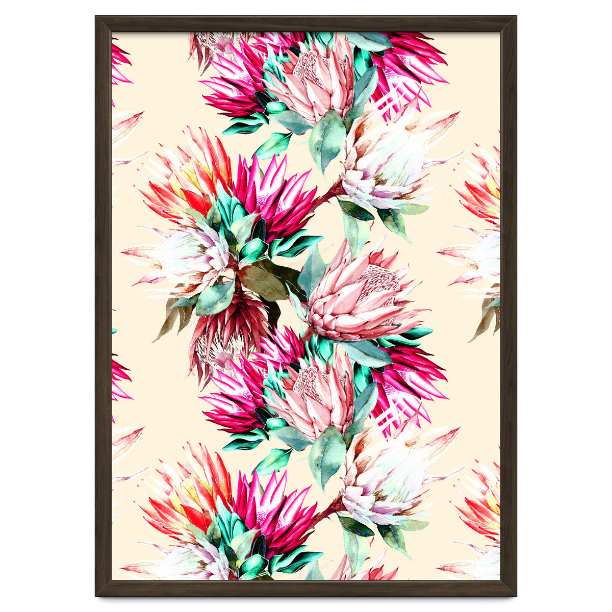 King proteas bloom II