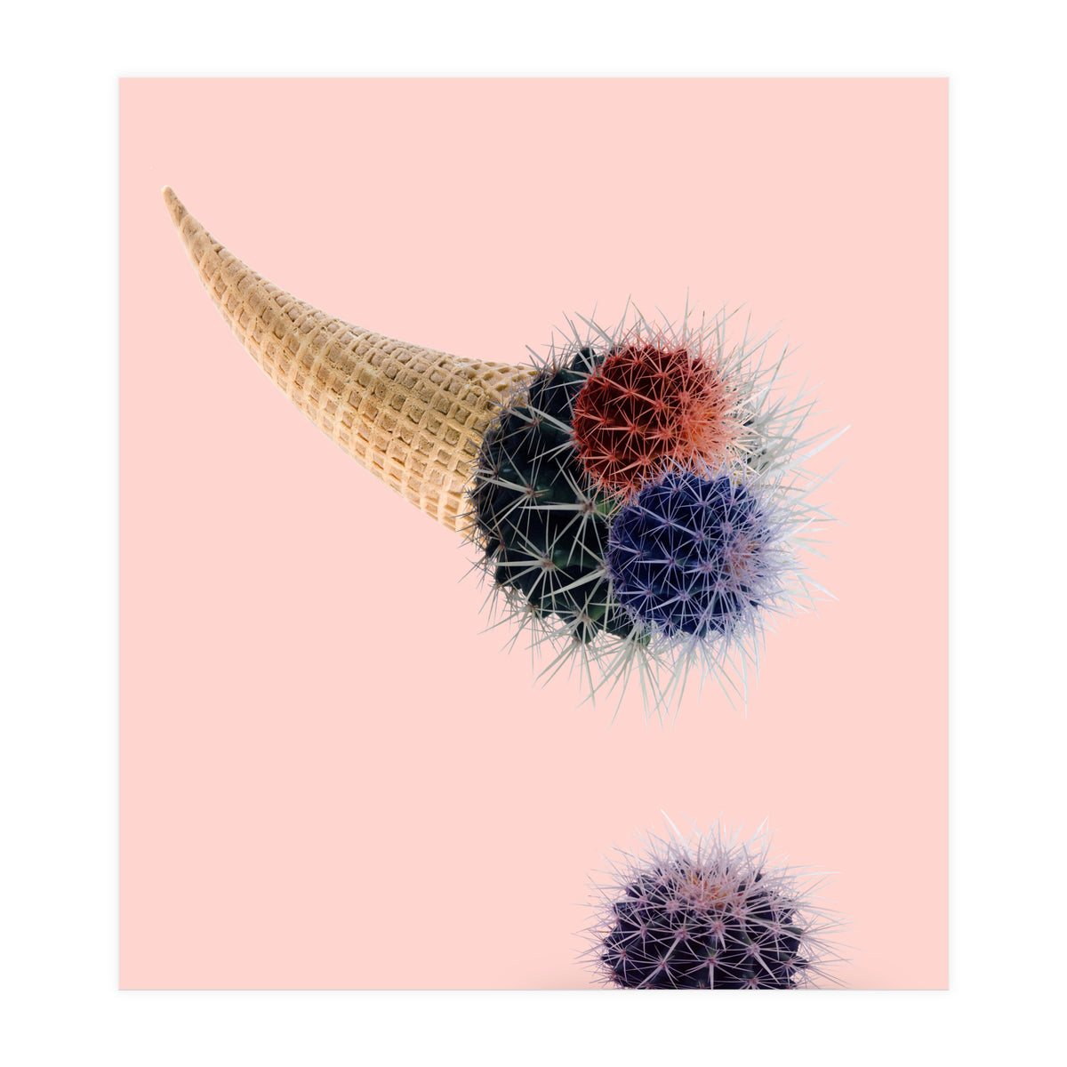 Cactus Cream 50x70 (Print Only)