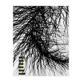 Mad Mind 4 (Print Only) thumbnail