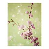 Springtime  (Print Only) thumbnail