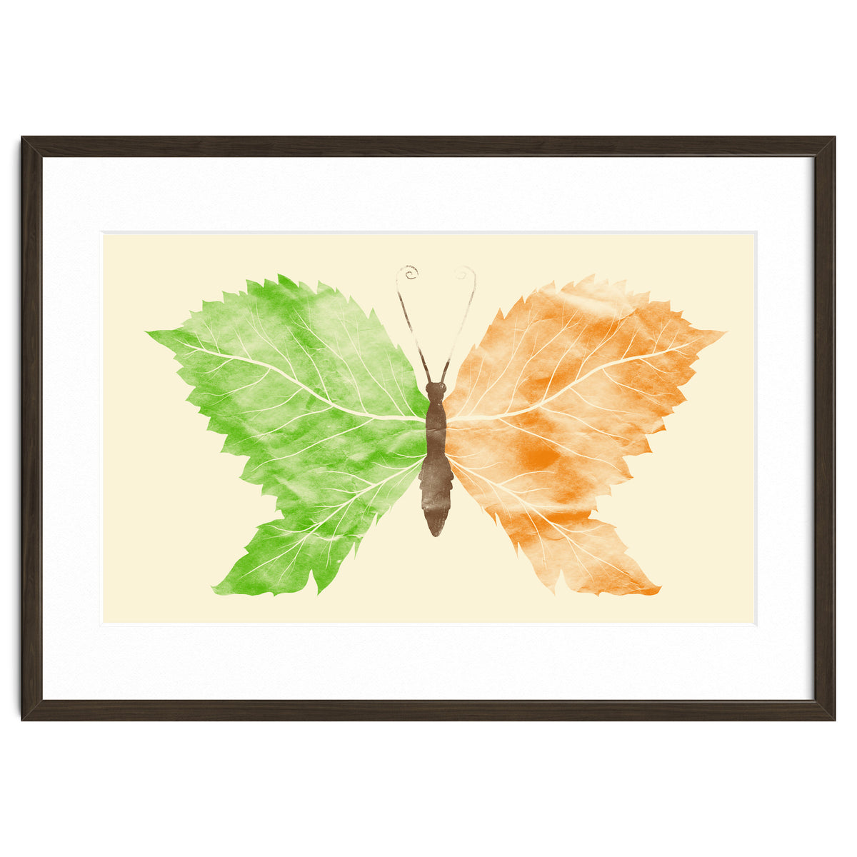 Seasons Change Time Flies